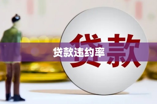 双柏贷款违约率