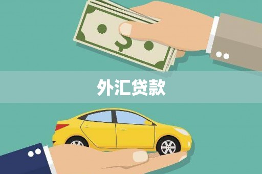 双柏外汇贷款