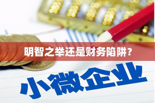 双柏明智之举还是财务陷阱？