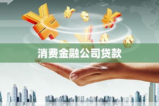 双柏消费金融公司贷款