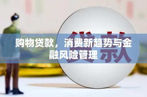 双柏购物贷款，消费新趋势与金融风险管理