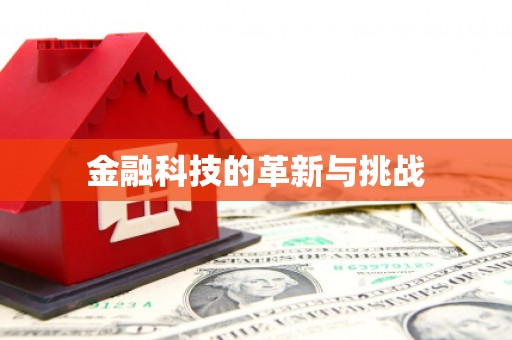 双柏金融科技的革新与挑战