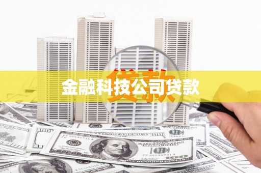 双柏金融科技公司贷款