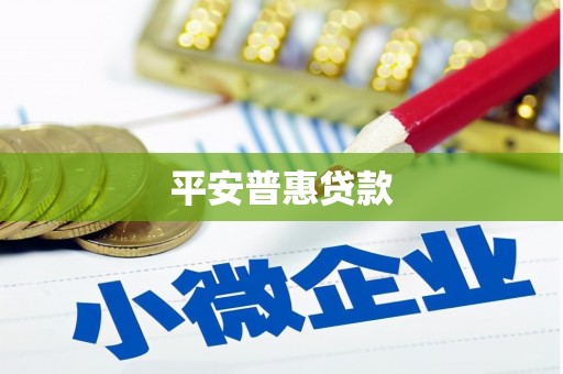 双柏平安普惠贷款