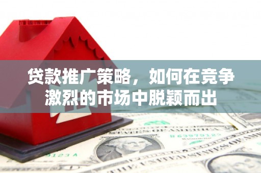 双柏贷款推广策略，如何在竞争激烈的市场中脱颖而出