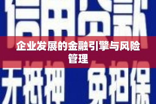 双柏企业发展的金融引擎与风险管理