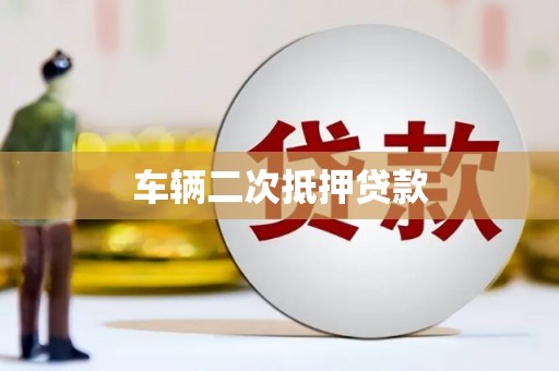 双柏车辆二次抵押贷款