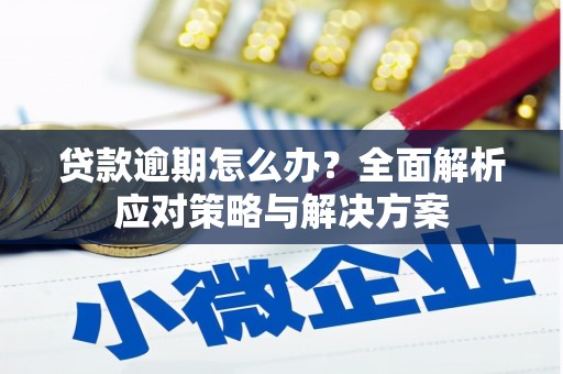 双柏贷款逾期怎么办？全面解析应对策略与解决方案