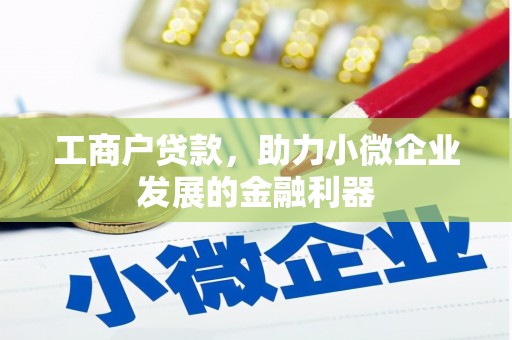 双柏工商户贷款，助力小微企业发展的金融利器