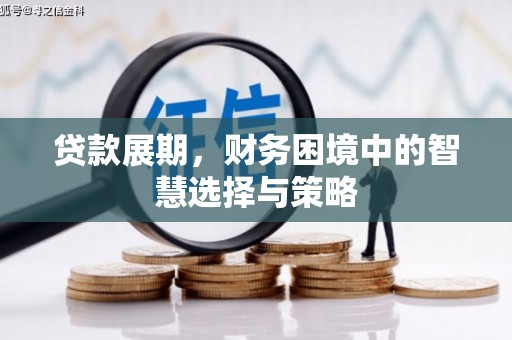 双柏贷款展期，财务困境中的智慧选择与策略