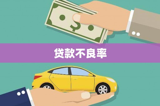 双柏贷款不良率
