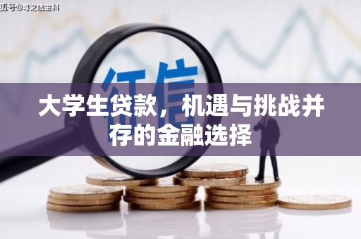 双柏大学生贷款，机遇与挑战并存的金融选择