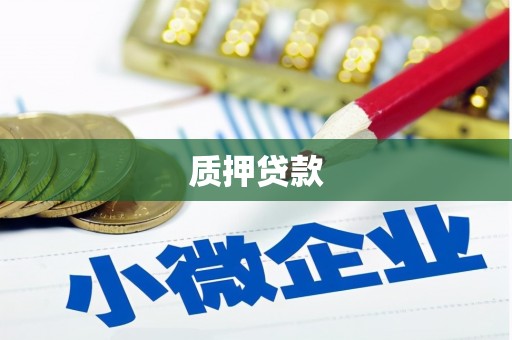 双柏质押贷款