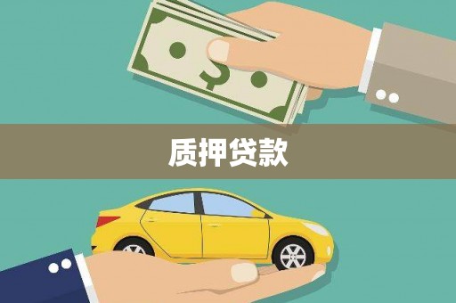 双柏质押贷款