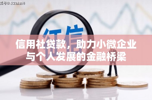 双柏信用社贷款，助力小微企业与个人发展的金融桥梁