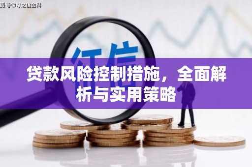 双柏贷款风险控制措施，全面解析与实用策略