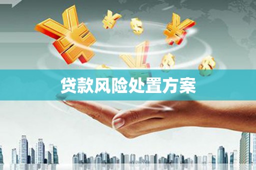 双柏贷款风险处置方案