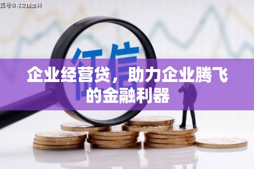 双柏企业经营贷，助力企业腾飞的金融利器