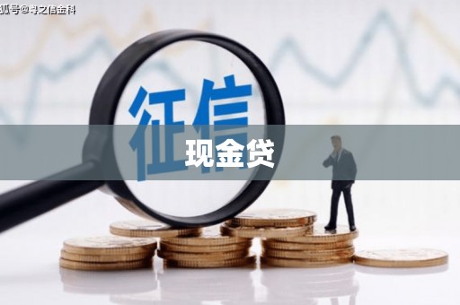 双柏现金贷