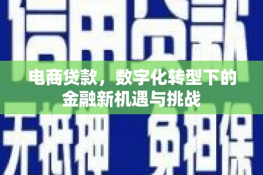 双柏电商贷款，数字化转型下的金融新机遇与挑战