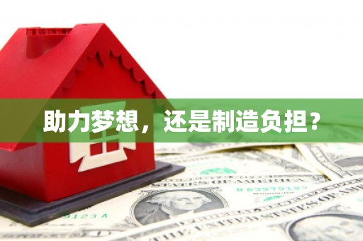 双柏助力梦想，还是制造负担？