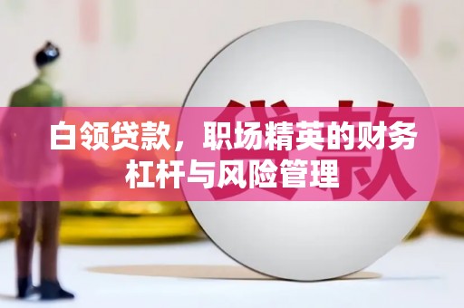 双柏白领贷款，职场精英的财务杠杆与风险管理