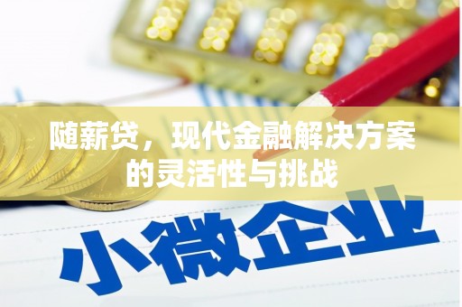 双柏随薪贷，现代金融解决方案的灵活性与挑战
