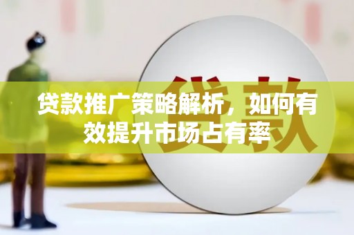 双柏贷款推广策略解析，如何有效提升市场占有率