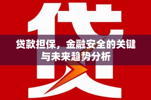 双柏贷款担保，金融安全的关键与未来趋势分析