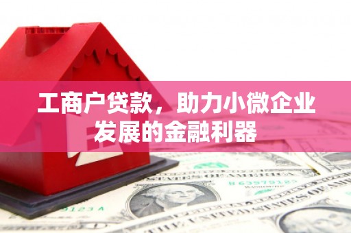 双柏工商户贷款，助力小微企业发展的金融利器
