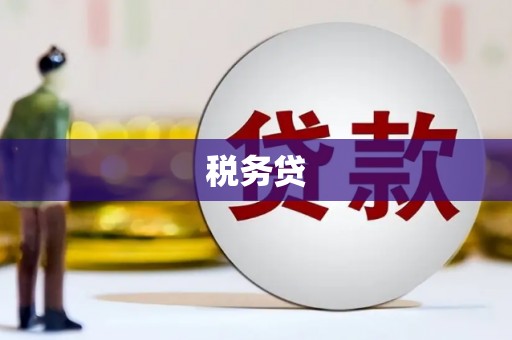 双柏税务贷