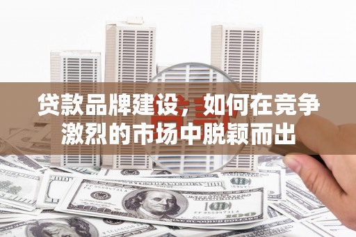 双柏贷款品牌建设，如何在竞争激烈的市场中脱颖而出