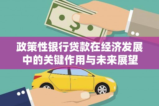 双柏政策性银行贷款在经济发展中的关键作用与未来展望