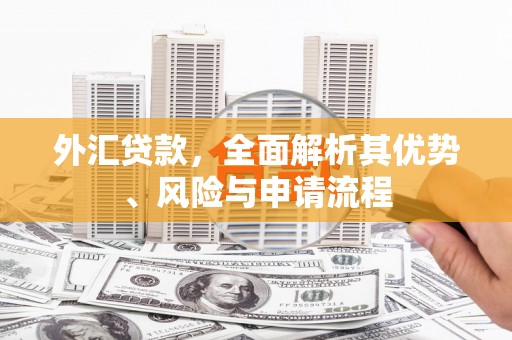 双柏外汇贷款，全面解析其优势、风险与申请流程