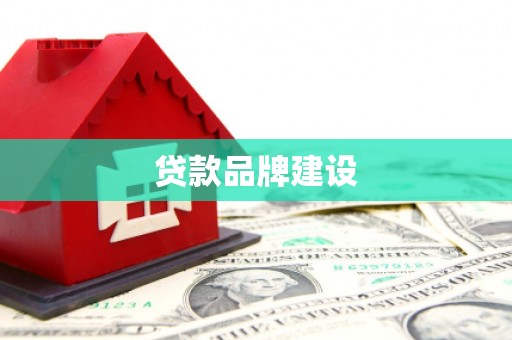 双柏贷款品牌建设