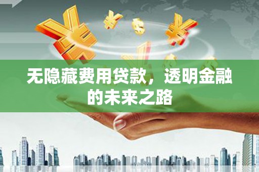 双柏无隐藏费用贷款，透明金融的未来之路