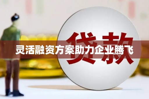 双柏灵活融资方案助力企业腾飞