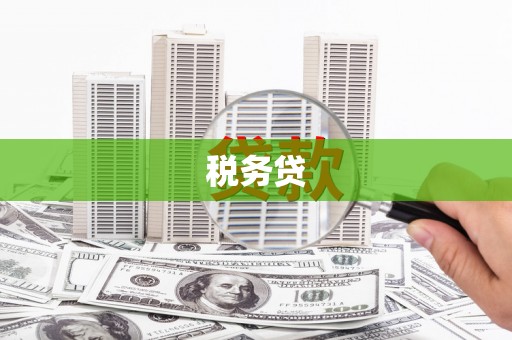 双柏税务贷