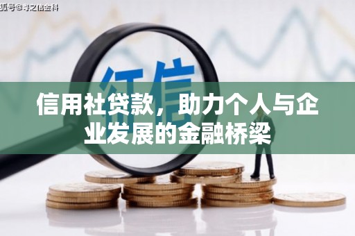 双柏信用社贷款，助力个人与企业发展的金融桥梁