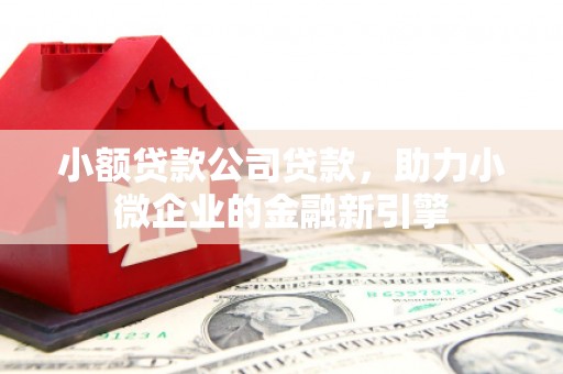 双柏小额贷款公司贷款，助力小微企业的金融新引擎