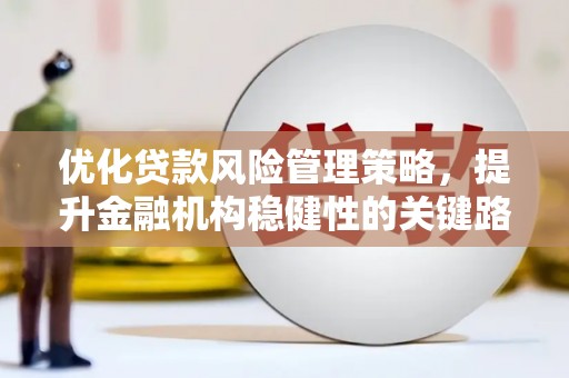 双柏优化贷款风险管理策略，提升金融机构稳健性的关键路径