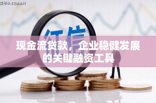 双柏现金流贷款，企业稳健发展的关键融资工具