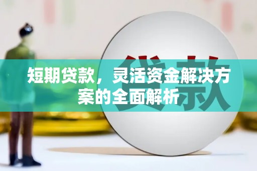 双柏短期贷款，灵活资金解决方案的全面解析
