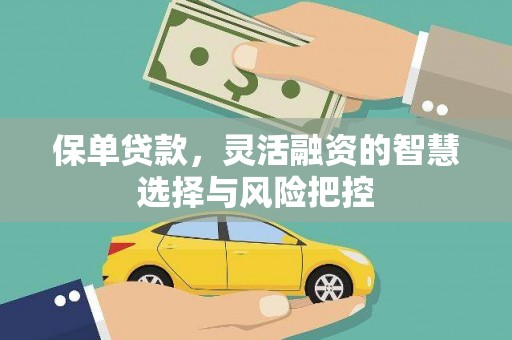 双柏保单贷款，灵活融资的智慧选择与风险把控