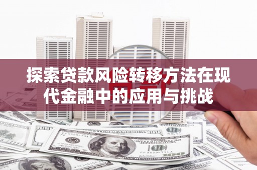 双柏探索贷款风险转移方法在现代金融中的应用与挑战