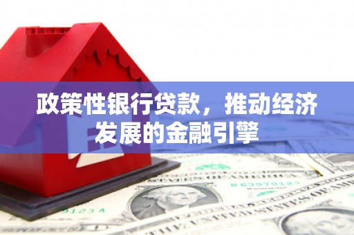 双柏政策性银行贷款，推动经济发展的金融引擎