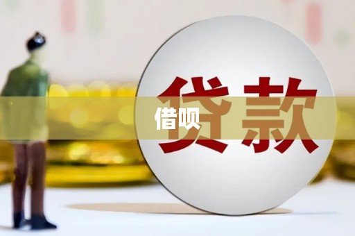 双柏借呗
