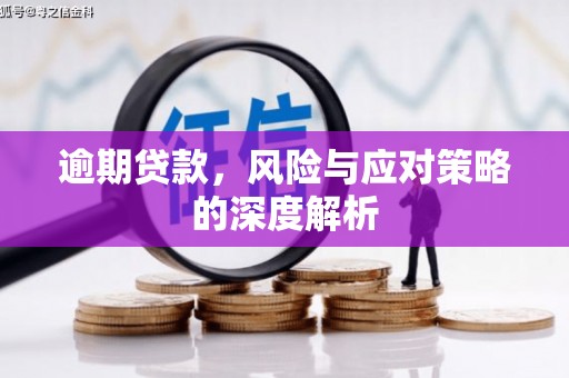 双柏逾期贷款，风险与应对策略的深度解析
