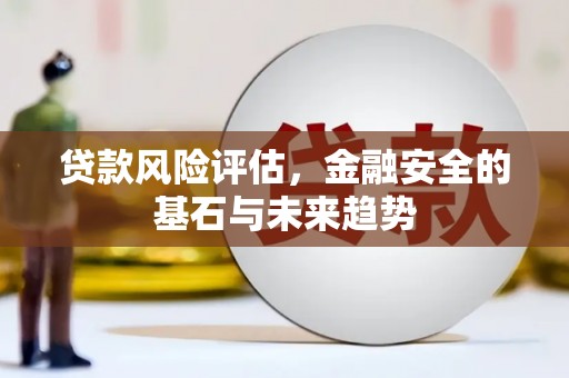 双柏贷款风险评估，金融安全的基石与未来趋势