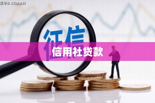 双柏信用社贷款